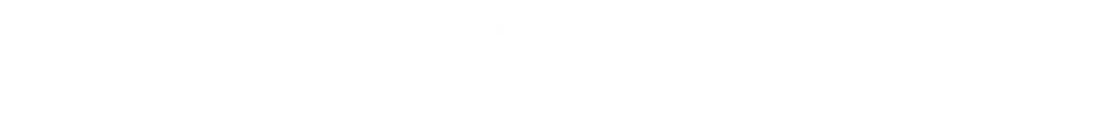 BSC Webdesign Logo in weißer Schrift.