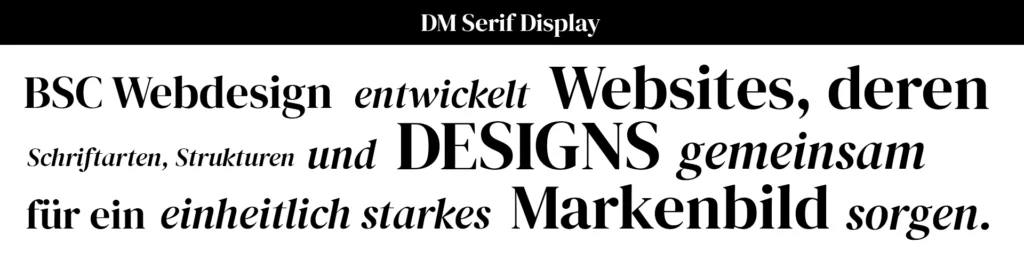 Schriftbeispiel DM Serif Display für elegante Markenauftritte.